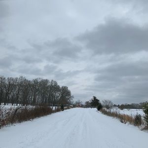 Meet your Posher, Thomas